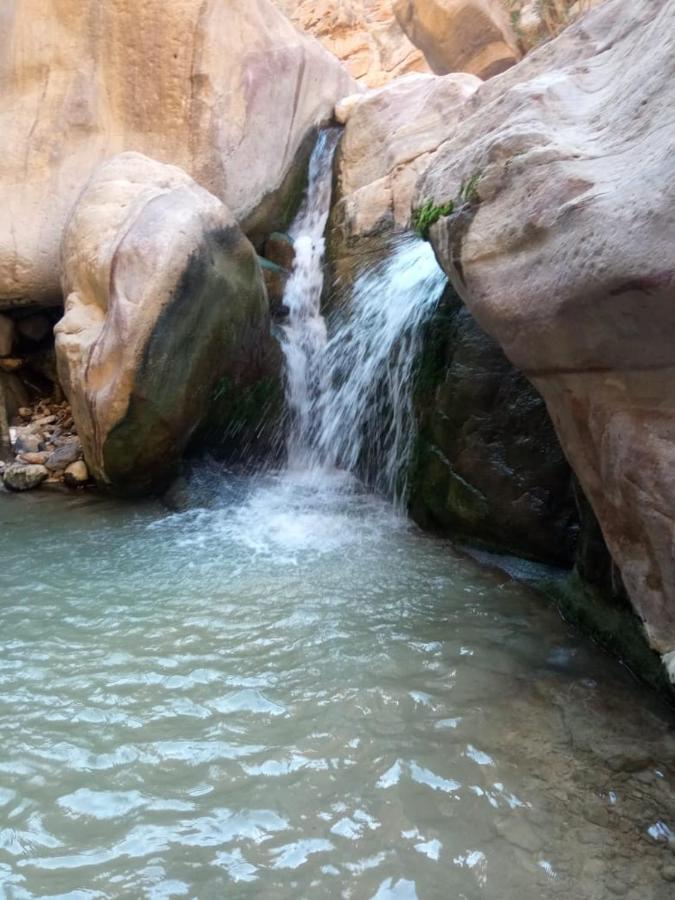 القمر فندق دانا
