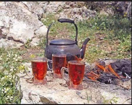 فندق القمر دانا